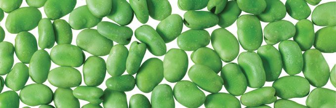 FROZEN GREEN BEANS BY ZAMEL, Frozen Vegetables, #1 B2B Marketplace, Made  in Egypt, Export
